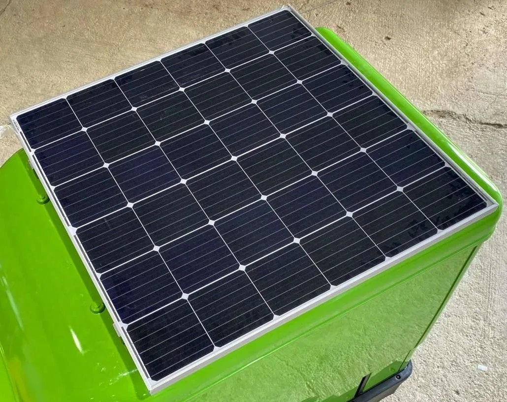 Elektrofrosch-Max-Solar-1-e1702828892909.jpg